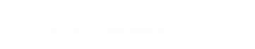 TyNox Interactive Logo